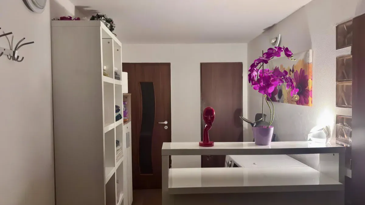 Pronájem komerční nemovitosti · 100 m² (ID: EroP8New)
