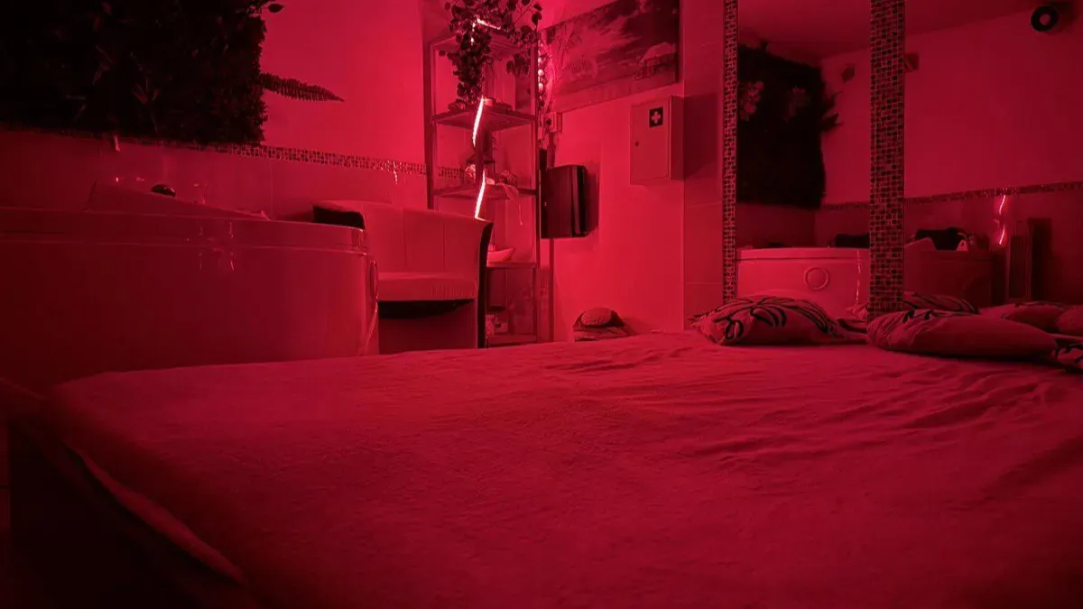 Pronájem komerční nemovitosti · 100 m² (ID: EroP8New)