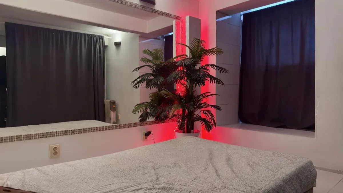 Pronájem komerční nemovitosti · 100 m² (ID: EroP8New)