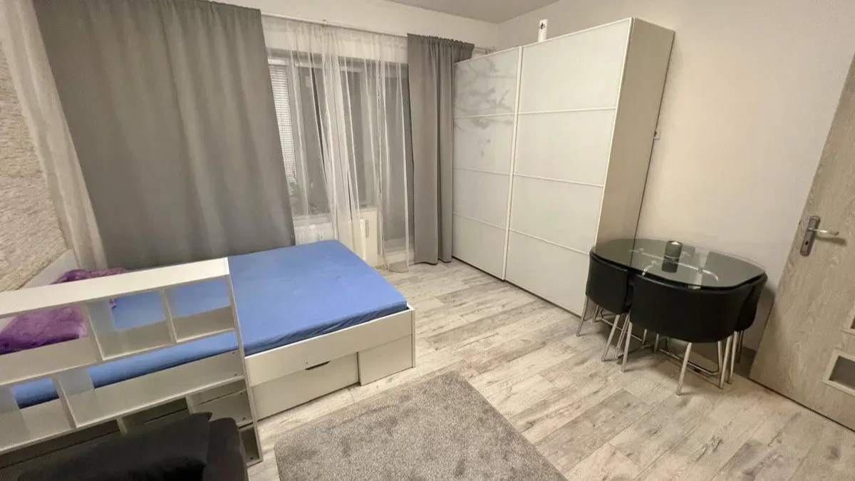 Pronájem bytu · 1+kk · 36 m² (ID: Krakovska1kk)