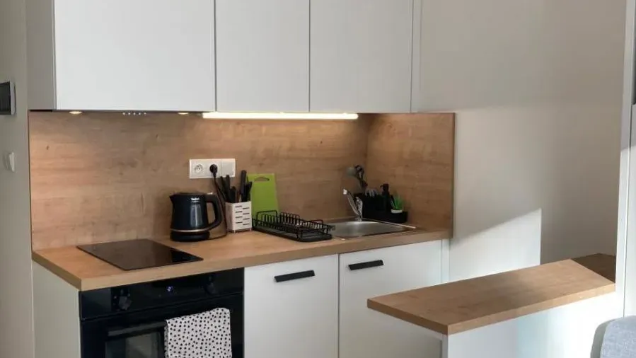 Pronájem bytu · 1+kk · 20 m² (ID: Mozzartova1kk)